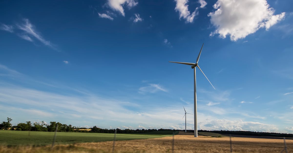 découvrez comment le développement durable transforme notre société en équilibrant croissance économique, protection de l'environnement et équité sociale. explorez des stratégies innovantes pour un avenir viable et respectueux des ressources de notre planète.