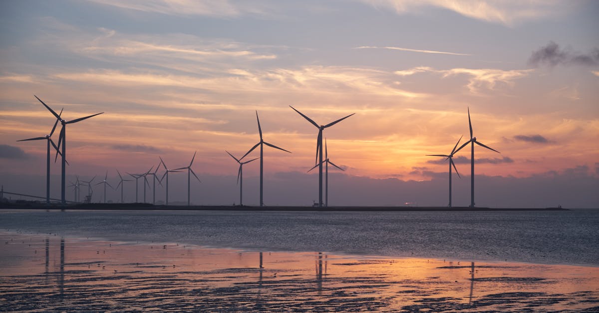 découvrez comment le développement durable allie croissance économique, respect de l'environnement et justice sociale. apprenez des stratégies pour un avenir plus vert et l'importance d'agir dès maintenant pour préserver notre planète.